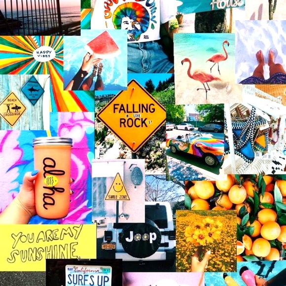 Meet your Posher, Ellie - Picture 1 of 1